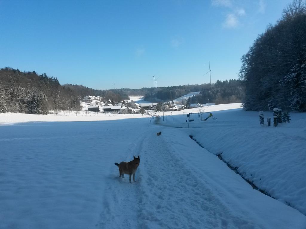 Ferienwohnung Am Kapellenaecker Neumarkt in der Oberpfalz Exteriér fotografie